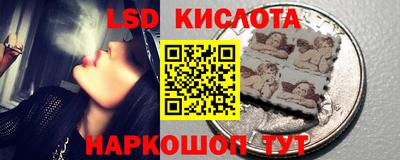 прущие грибы Балашиха