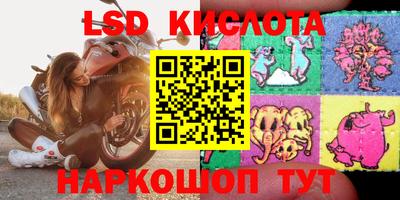 прущие грибы Балашиха