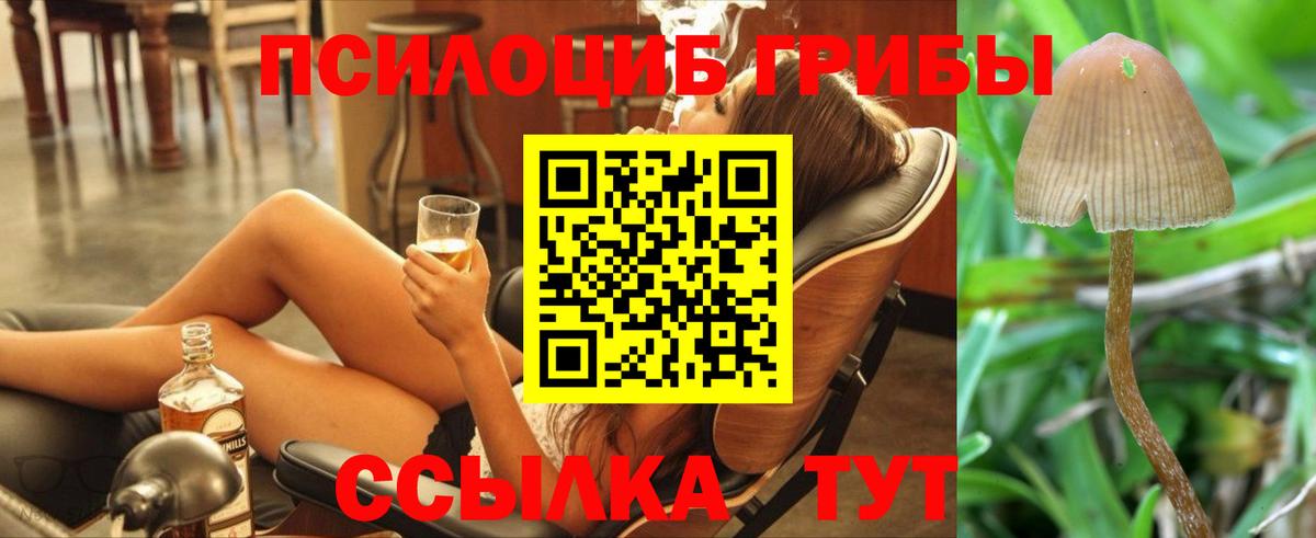 Псилоцибиновые грибы Magic Shrooms Архангельск